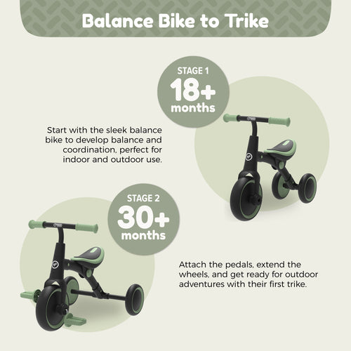 TP Balance Bike to Trike