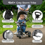 TP Trike 4 in 1+ Grey Storm